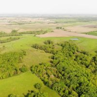 400 Acres in Leflore County MS with a Home AND Farmland images 5