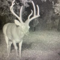 Private Big Buck Hunting Retreat Close to Tulsa images 3