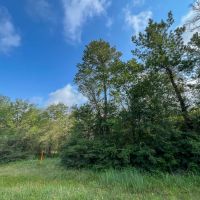 20.5 Acre Tract for Possible Investment Mini-Farm or Homesite for Sale Pulaski County images 2