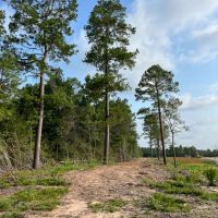20.5 Acre Tract for Possible Investment Mini-Farm or Homesite for Sale Pulaski County images 4