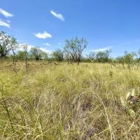 New Listing 10 - Acres Callahan County