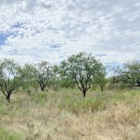 New Listing 10 - Acres Callahan County images 2