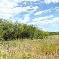 New Listing 10 - Acres Callahan County images 3