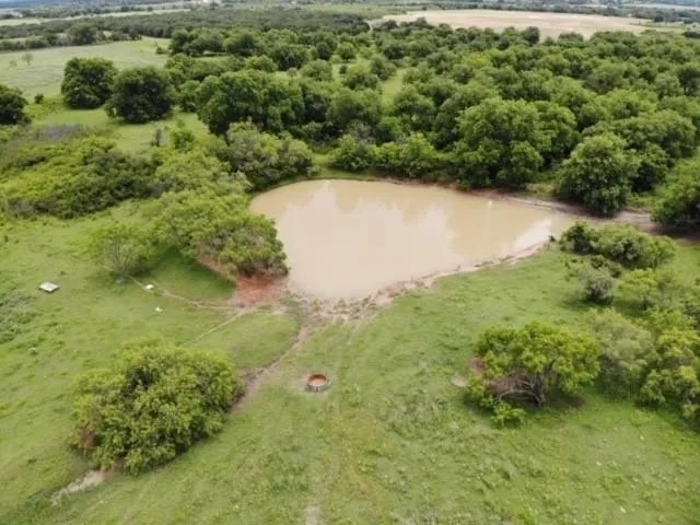 New Listing 302.98 Acres Eastland County featured image