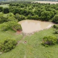 New Listing 302.98 Acres Eastland County