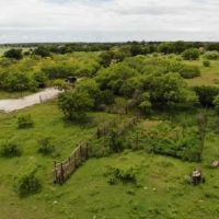 New Listing 302.98 Acres Eastland County images 2