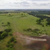 New Listing 302.98 Acres Eastland County images 4