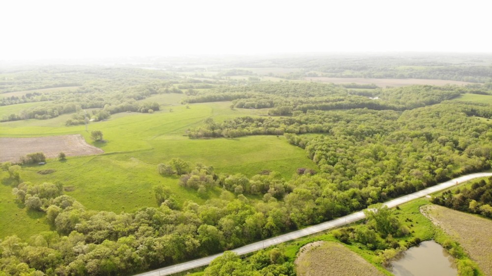 Red Hills Pasture featured image