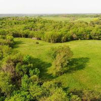 Red Hills Pasture images 5