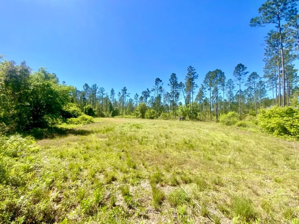 229.8 Acre Missouri Hunting Paradise with Income for Sale Lincoln County featured image