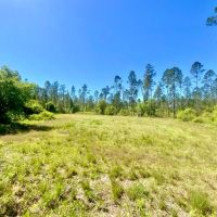 229.8 Acre Missouri Hunting Paradise with Income for Sale Lincoln County
