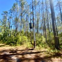 229.8 Acre Missouri Hunting Paradise with Income for Sale Lincoln County images 3