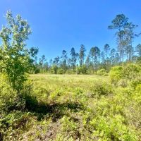 229.8 Acre Missouri Hunting Paradise with Income for Sale Lincoln County images 4