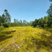 229.8 Acre Missouri Hunting Paradise with Income for Sale Lincoln County images 5