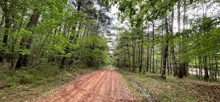 12 Acres in Jasper County in Louin MS featured image