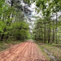 12 Acres in Jasper County in Louin MS