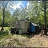12 Acres in Jasper County in Louin MS images 4