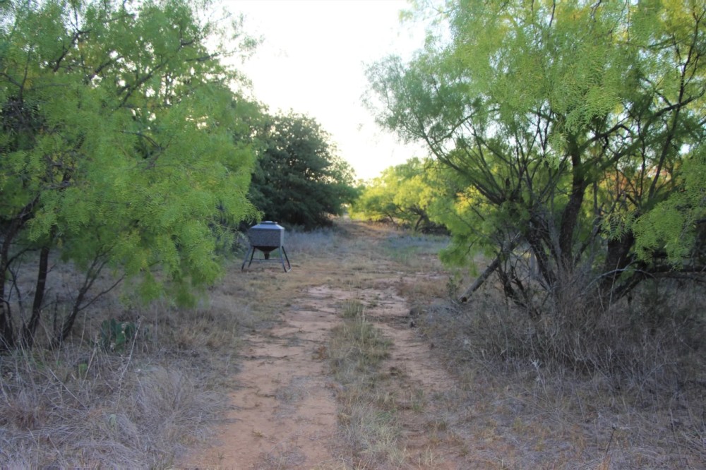 Price Improvement 25 Acres Eastland County featured image