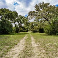 11934 US-77 in Hallettsville images 4