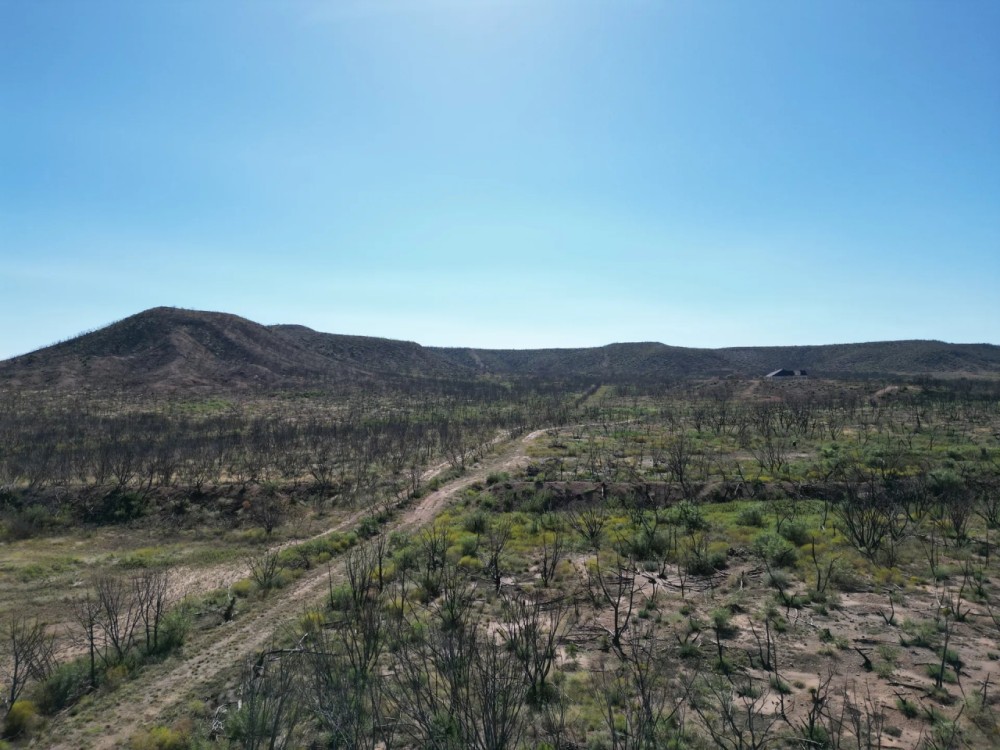 New Listing 32.22 Ac 9881 US 277 S Abilene featured image