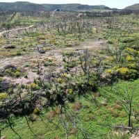 New Listing 32.22 Ac 9881 US 277 S Abilene images 4
