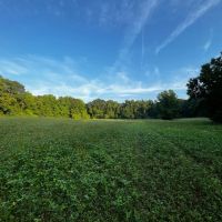 NEW LISTING 22 - Ac Pvt Rd TBD Abilene Tract 13 images 2