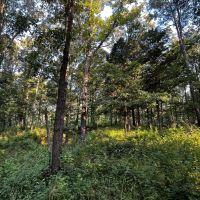 NEW LISTING 22 - Ac Pvt Rd TBD Abilene Tract 13 images 3