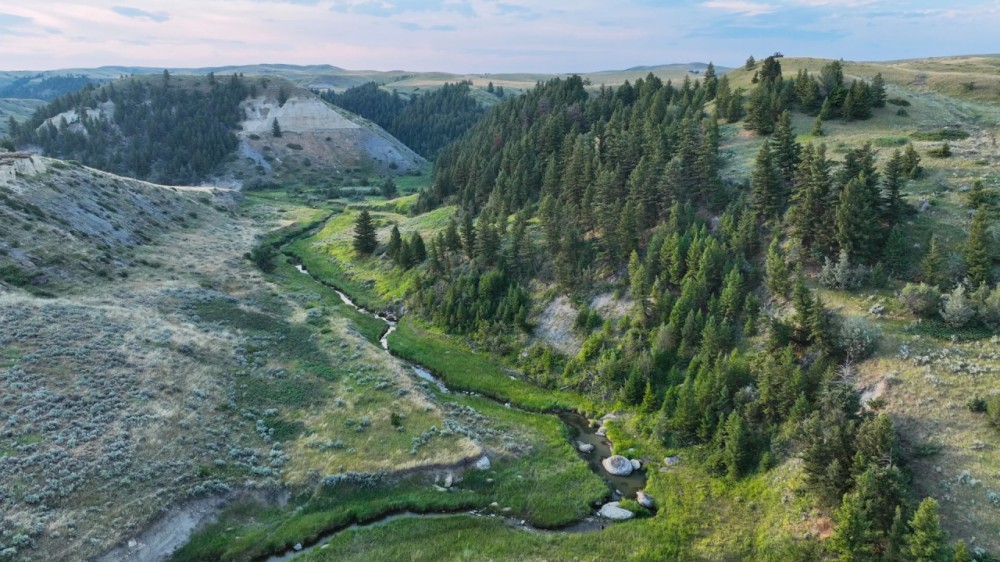 Coffee Creek Ranch featured image