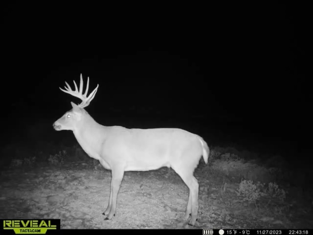 Sand Creek NE Ranch featured image