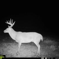 Sand Creek NE Ranch