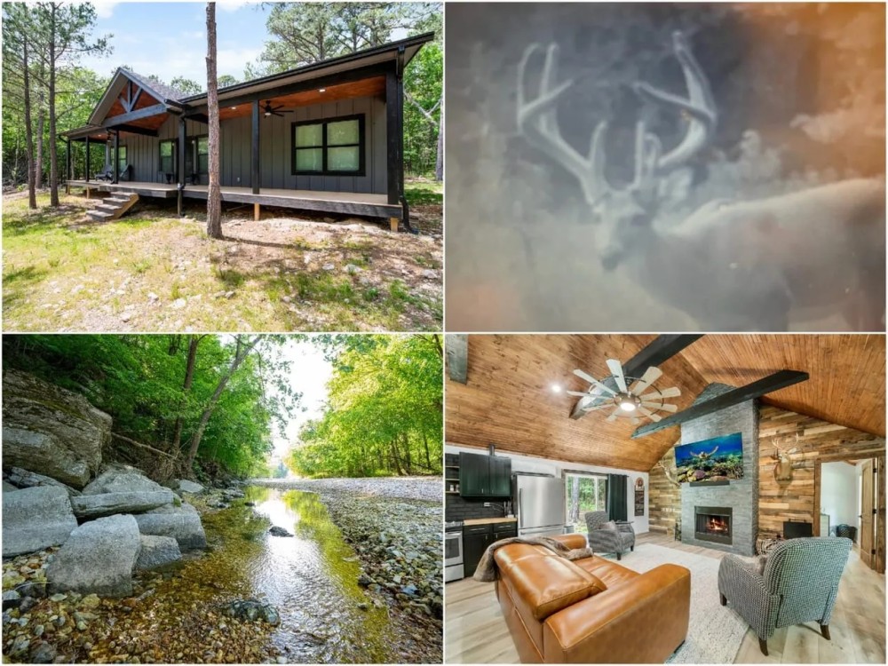 Rustic Ridge Ranch featured image