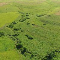 98 Acre Southern Kansas Hunting Tract for Sale Osage County images 2