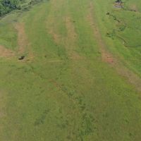 98 Acre Southern Kansas Hunting Tract for Sale Osage County images 4