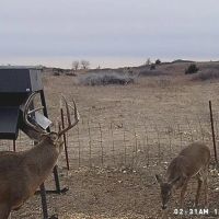 Reno 154 images 2