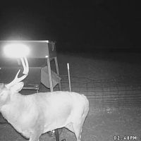 Reno 154 images 3