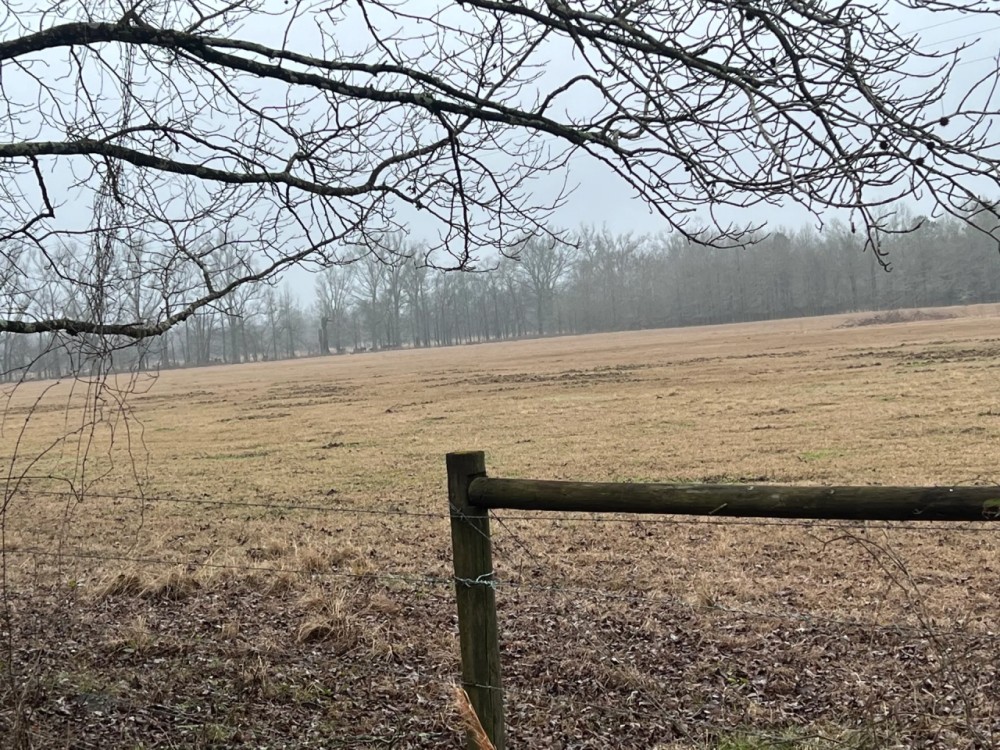 LA - Catahoula 95 acres - featured image