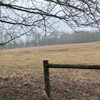 LA - Catahoula 95 acres -
