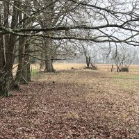 LA - Catahoula 95 acres - images 3