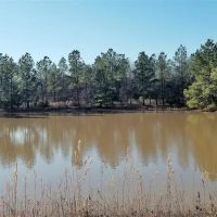 Perfect Recreational property images 3