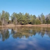Perfect Recreational property images 4