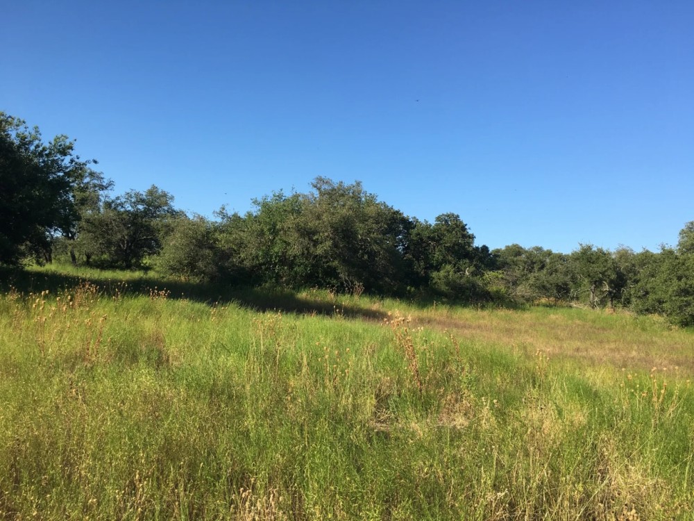 New Listing 23 - Acres Brown County featured image