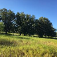 New Listing 23 - Acres Brown County images 2
