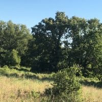 New Listing 23 - Acres Brown County images 3