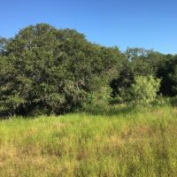 New Listing 23 - Acres Brown County images 4