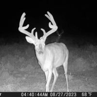Sandy Creek Ranch images 2