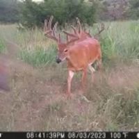 Sandy Creek Ranch images 3