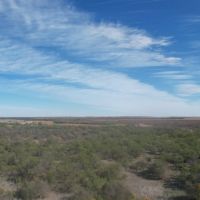 NEW LISTING 66.85 Ac CR 143 Jayton