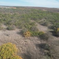 NEW LISTING 66.85 Ac CR 143 Jayton images 2