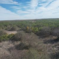 NEW LISTING 66.85 Ac CR 143 Jayton images 3