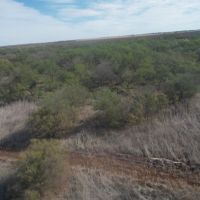NEW LISTING 66.85 Ac CR 143 Jayton images 4